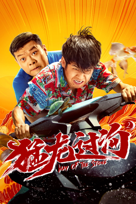 猛龙过沟2 海报 高清在线观看