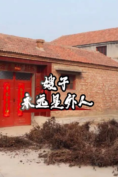 嫂子永远是外人 海报 高清在线观看