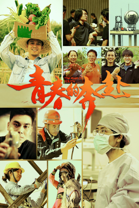 青春的奔赴 海报 高清在线观看