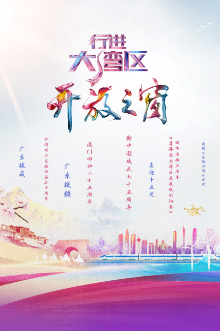 行进大湾区开放之窗 海报 高清在线观看