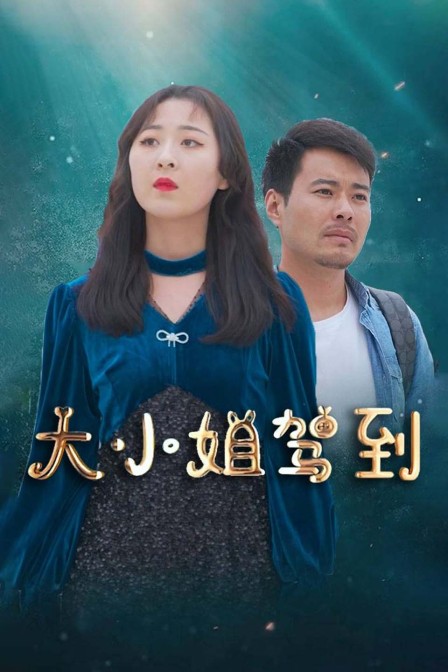 大小姐驾到 海报 高清在线观看