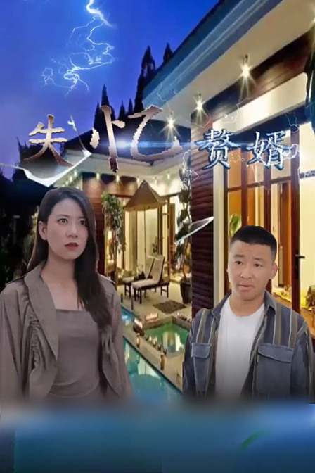 失忆赘婿 海报 高清在线观看