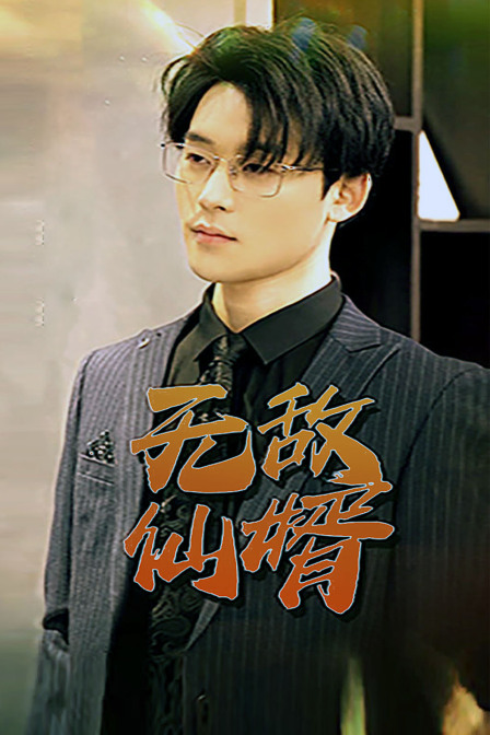 无敌仙婿 海报 高清在线观看