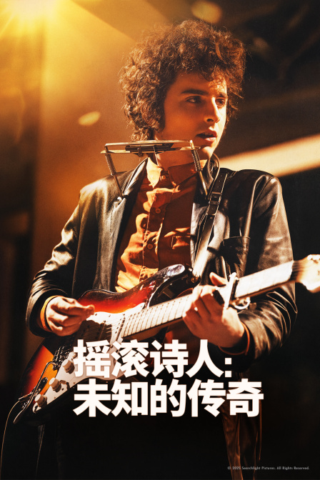 摇滚诗人：未知的传奇 海报 高清在线观看