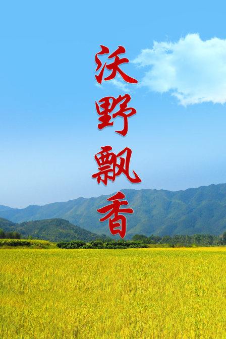 沃野飘香 海报 高清在线观看