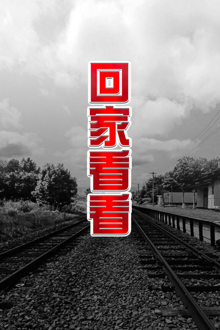 回家看看 海报 高清在线观看