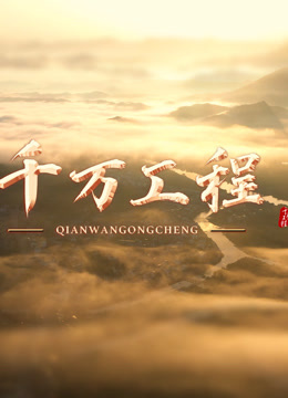 千万工程 海报 高清在线观看