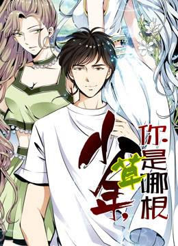 少年，你是哪根草动态漫画 海报 高清在线观看