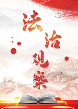 法治观察 海报 高清在线观看