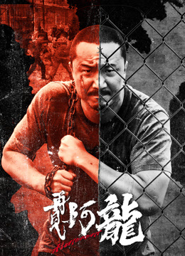 再见阿龙 海报 高清在线观看