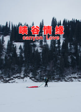 峡谷情缘 海报 高清在线观看