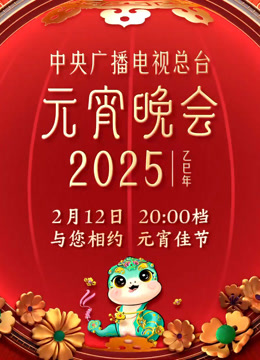 2025年中央广播电视总台元宵晚会 海报 高清在线观看