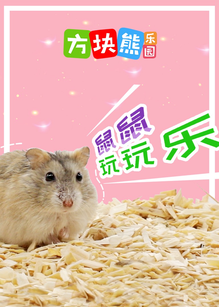 方块熊鼠仔玩玩乐 海报 高清在线观看