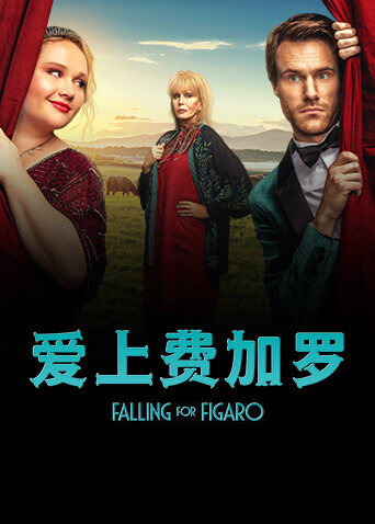 爱上费加罗 海报 高清在线观看
