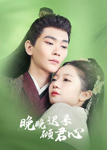 晚晚迟来倾君心 海报 高清在线观看