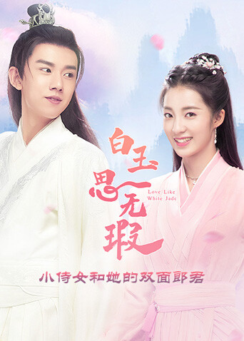 白玉思无瑕 小侍女和她的双面郎君 海报 高清在线观看