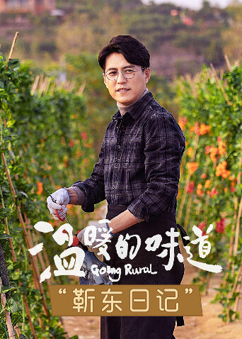 温暖的味道 靳东日记 海报 高清在线观看