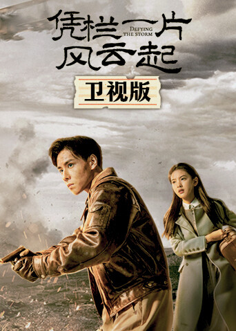 凭栏一片风云起 卫视版 海报 高清在线观看