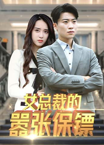 女总裁的嚣张保镖 海报 高清在线观看