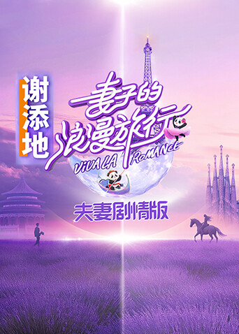 妻子的浪漫旅行夫妇剧情版 海报 高清在线观看