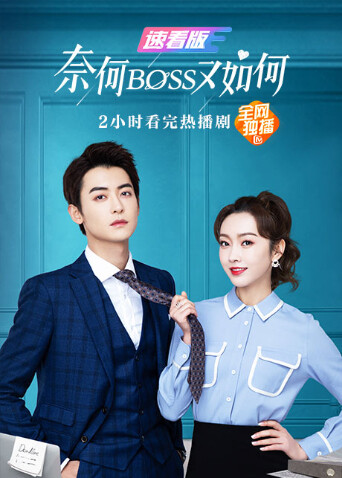 奈何BOSS又如何 速看版 海报 高清在线观看