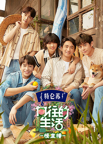 向往的生活5 慢直播 海报 高清在线观看