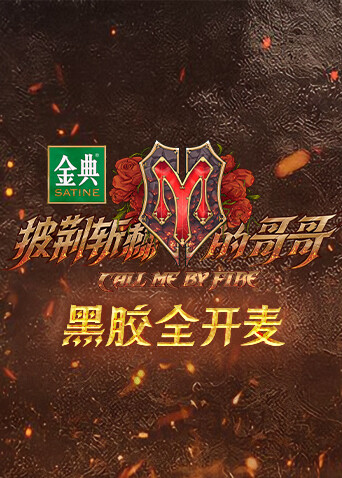 披荆斩棘的哥哥 黑胶全开麦 海报 高清在线观看