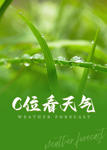 C位看天气 海报 高清在线观看