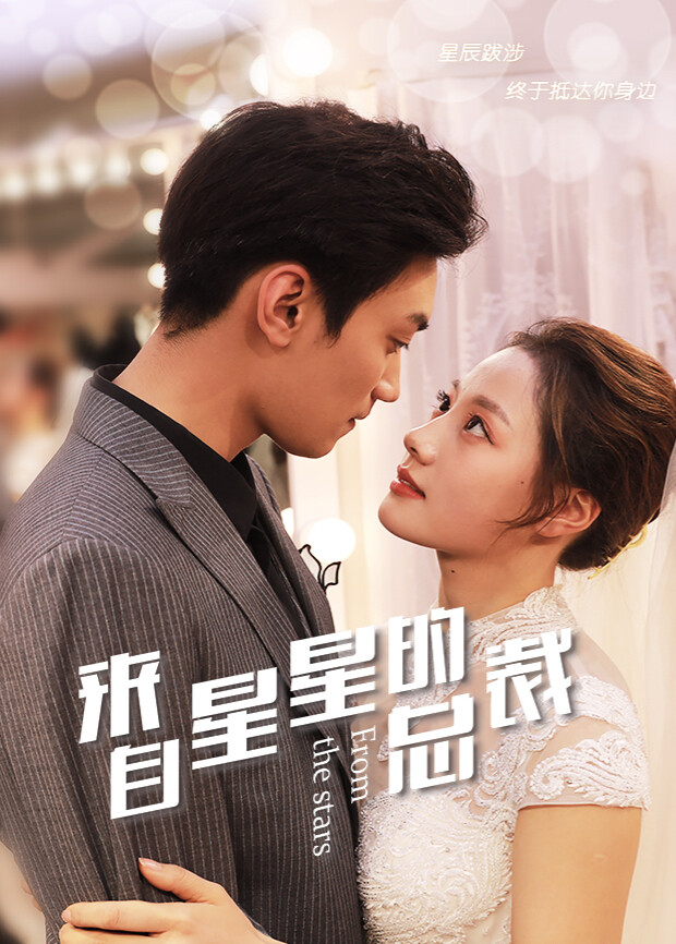 来自星星的总裁 海报 高清在线观看