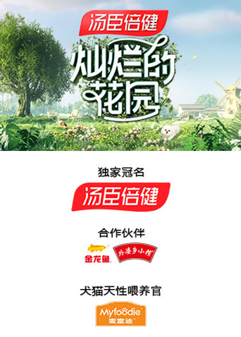 灿烂的花园 海报 高清在线观看