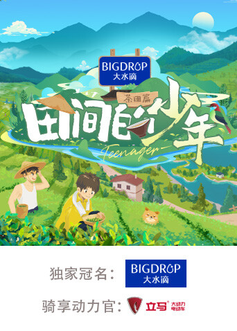田间的少年第二季 海报 高清在线观看