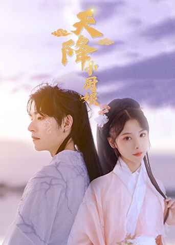 天降小厨娘 海报 高清在线观看
