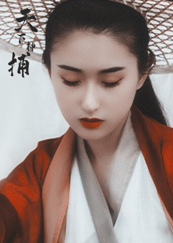 天下神捕 海报 高清在线观看