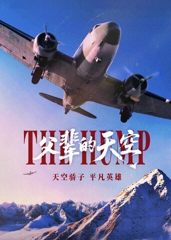 父辈的天空 海报 高清在线观看