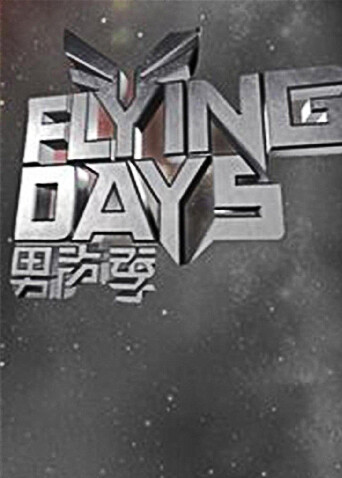 Flying Days 2010 海报 高清在线观看