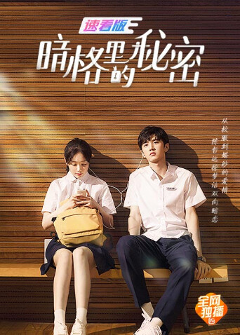 暗格里的秘密 速看版 海报 高清在线观看
