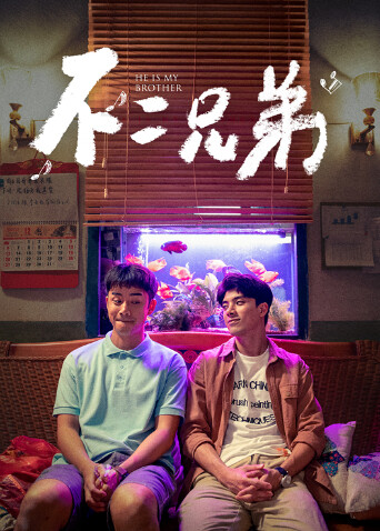 不二兄弟 海报 高清在线观看