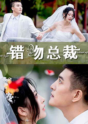 错吻总裁 海报 高清在线观看