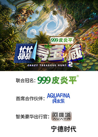 忙忙碌碌寻宝藏2 海报 高清在线观看