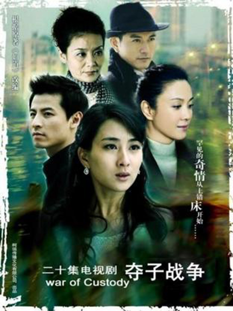 妇道之夺子战争 海报 高清在线观看