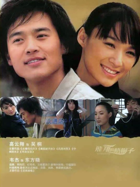 飞翔的梧桐子 海报 高清在线观看