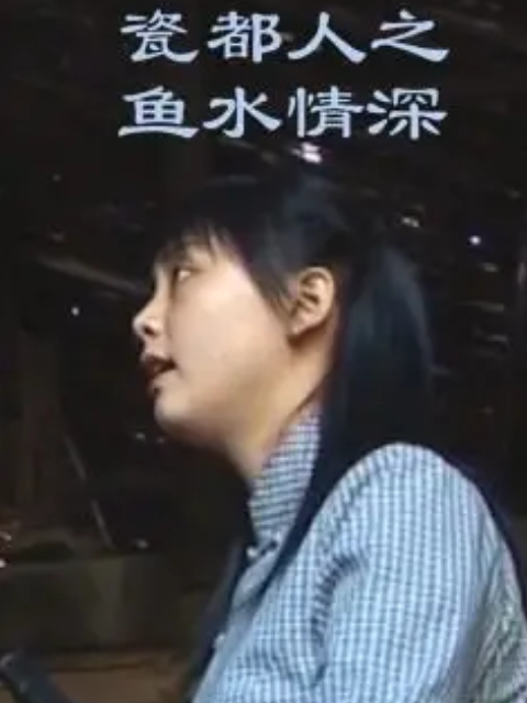 瓷都人之鱼水情深 海报 高清在线观看