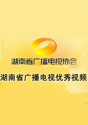 湖南省广播电视优秀视频 海报 高清在线观看