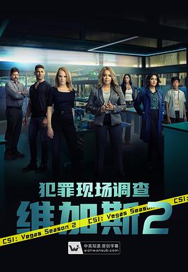 犯罪现场调查：维加斯第二季 海报 高清在线观看