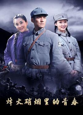 烽火硝烟里的青春 海报 高清在线观看