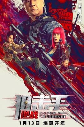 狙击手：逆战 海报 高清在线观看