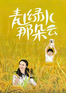 青山绿水那朵云 海报 高清在线观看