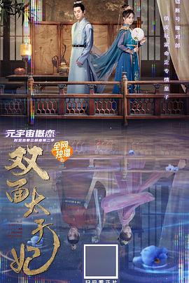 双面太子妃 海报 高清在线观看