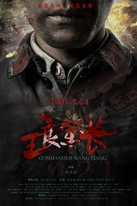 王良军长 海报 高清在线观看