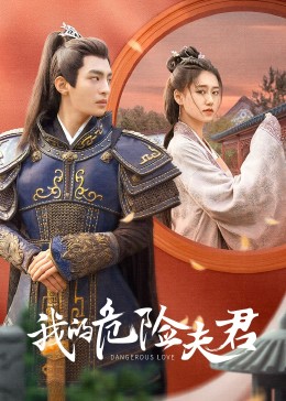 我的危险夫君 海报 高清在线观看